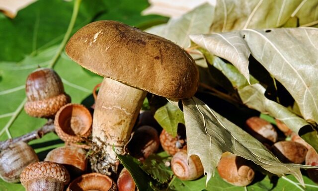 Czy filc jest oddychający? Czy filc jest oddychający?