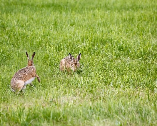 Czy można Skleić lampę w samochodzie? Czy można Skleić lampę w samochodzie?
