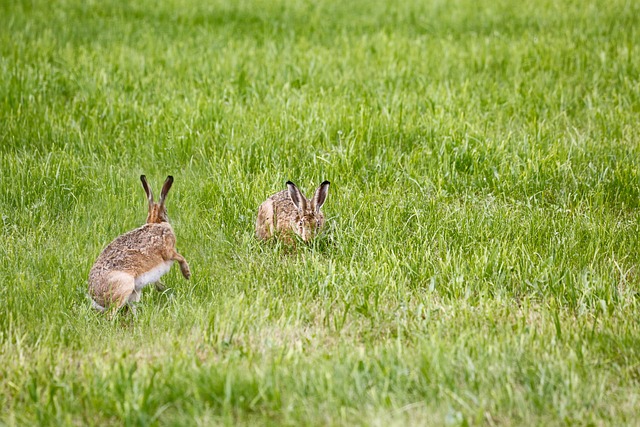 Czy można Skleić lampę w samochodzie? Czy można Skleić lampę w samochodzie?