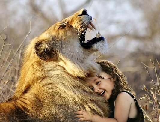 Co jest lepsze BMW Audi czy Mercedes? Co jest lepsze BMW Audi czy Mercedes?