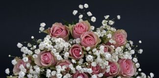 Jak jest dziękuję po austriacku?