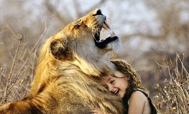 Jaka jest najlepsza włóczka dla początkujących?