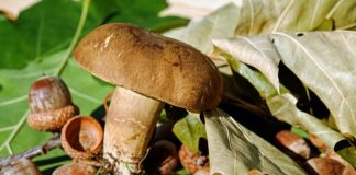 Czy filc się pierze? Czy filc się pierze?