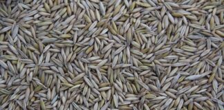 Gdzie jest produkowany Citroen C5 Aircross?