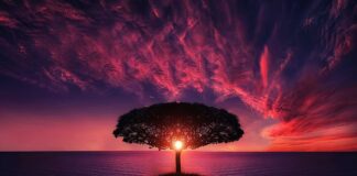 Jak ogrzać wodę przez słońce? Jak ogrzać wodę przez słońce?