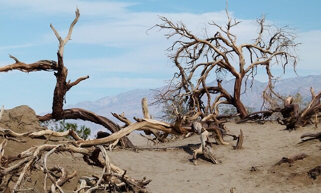 Jak znaleźć źródło wilgoci? Jak znaleźć źródło wilgoci?