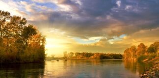 Gdzie znajduje się koło zapasowe w Citroenie C2?