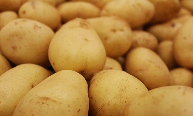 W którą stronę odkręca się piłę tarczową? W którą stronę odkręca się piłę tarczową?