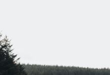 Detektyw Wałbrzych – skuteczność i poufność detektyw