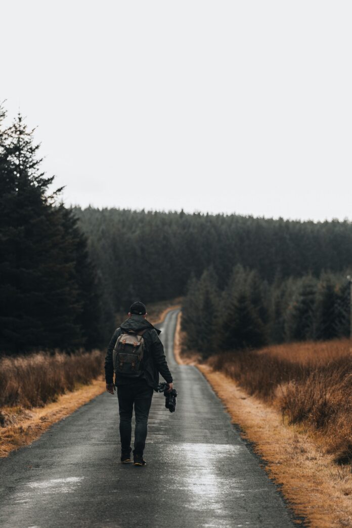 detektyw 75 detektyw